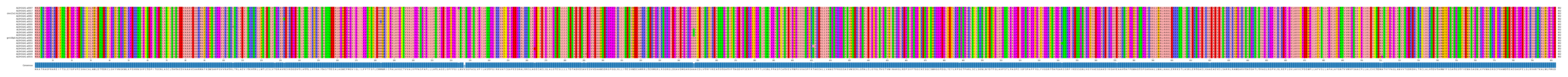 Multiple Alignments (by translate haplotype similarity)