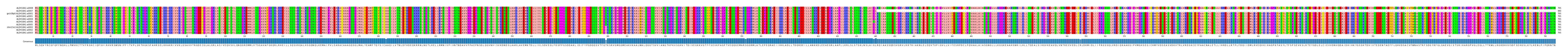 Multiple Alignments (by translate haplotype similarity)