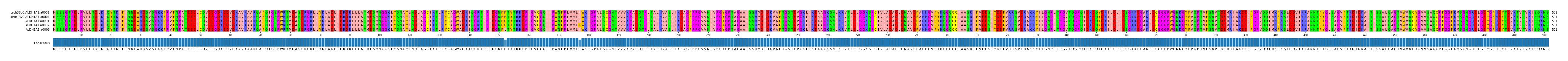 Multiple Alignments (by translate haplotype frequency)