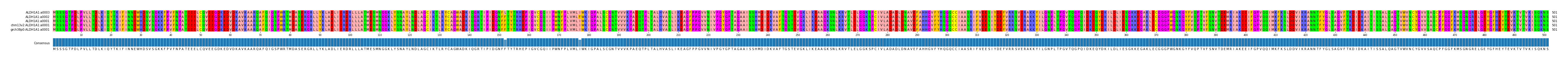 Multiple Alignments (by translate haplotype similarity)