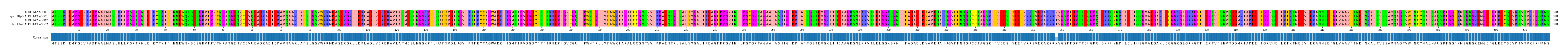Multiple Alignments (by translate haplotype similarity)