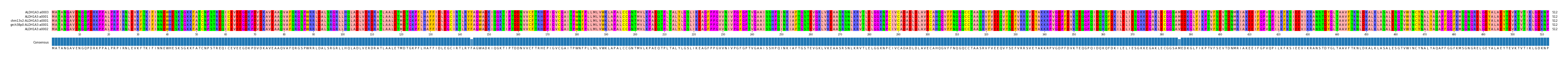 Multiple Alignments (by translate haplotype similarity)