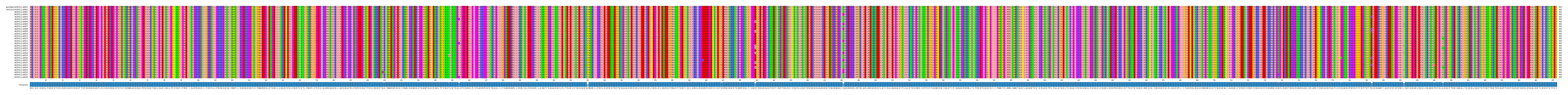 Multiple Alignments (by translate haplotype frequency)