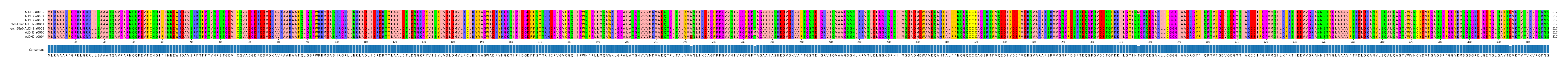Multiple Alignments (by translate haplotype similarity)