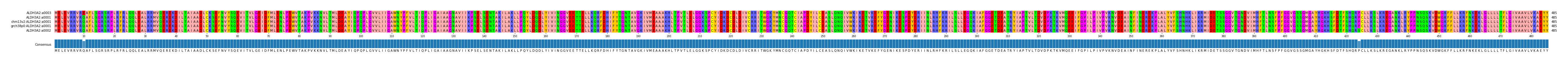 Multiple Alignments (by translate haplotype similarity)