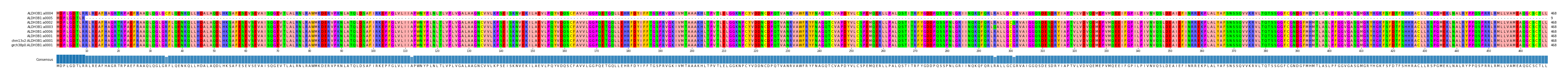 Multiple Alignments (by translate haplotype similarity)
