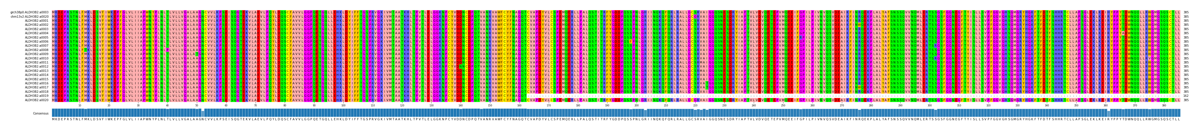 Multiple Alignments (by translate haplotype frequency)