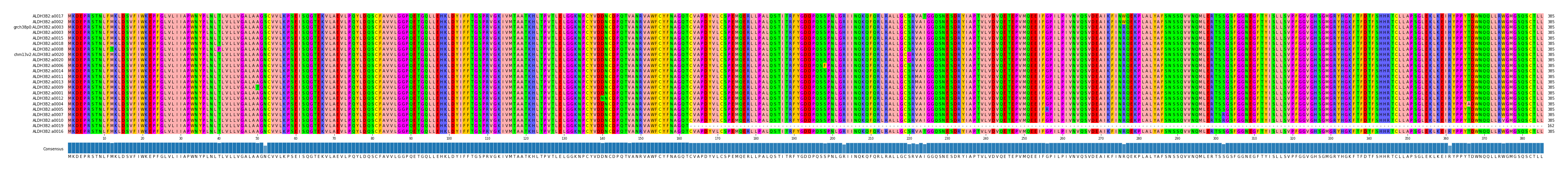 Multiple Alignments (by translate haplotype similarity)