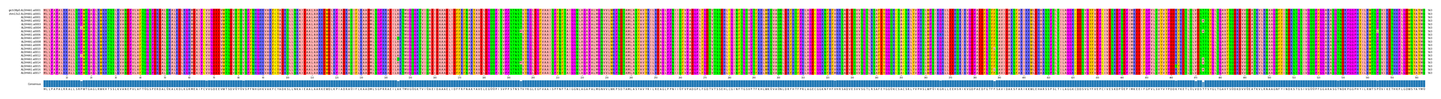 Multiple Alignments (by translate haplotype frequency)