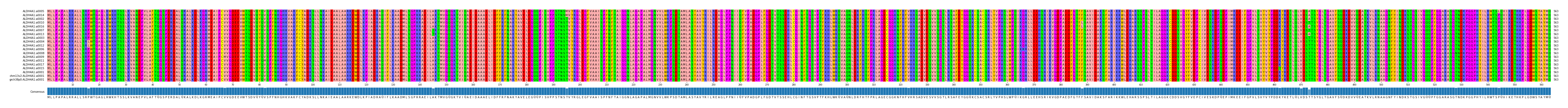 Multiple Alignments (by translate haplotype similarity)