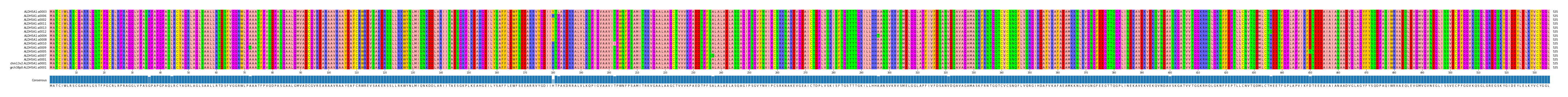Multiple Alignments (by translate haplotype similarity)