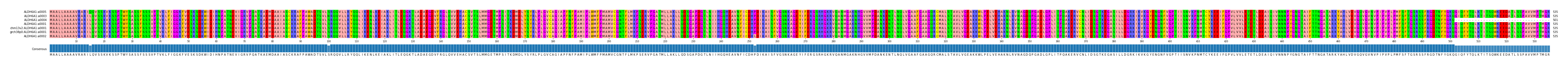 Multiple Alignments (by translate haplotype similarity)