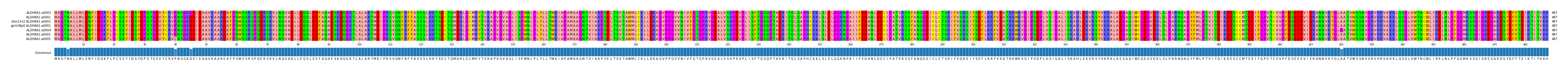 Multiple Alignments (by translate haplotype similarity)