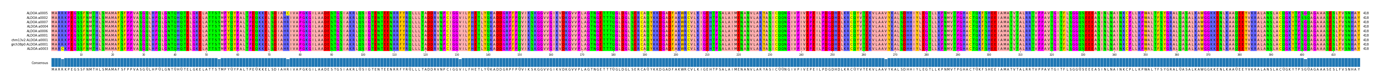 Multiple Alignments (by translate haplotype similarity)