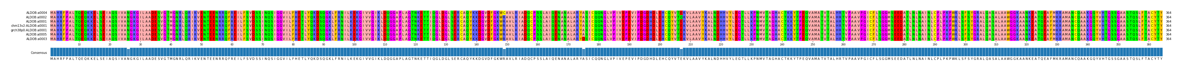 Multiple Alignments (by translate haplotype similarity)