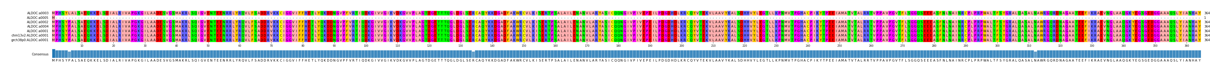 Multiple Alignments (by translate haplotype similarity)