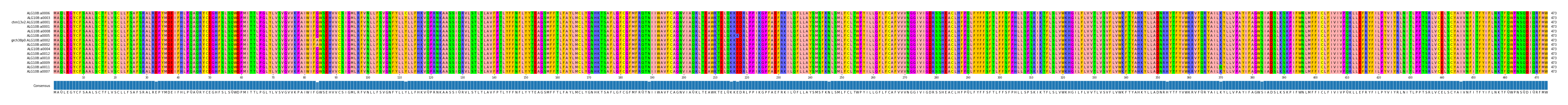 Multiple Alignments (by translate haplotype similarity)