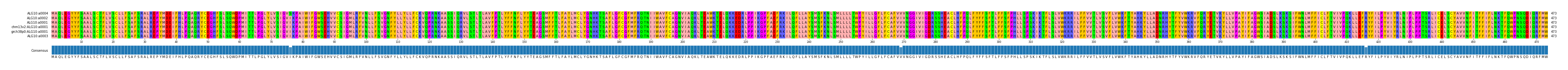 Multiple Alignments (by translate haplotype similarity)