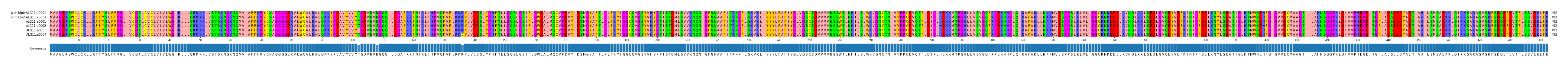 Multiple Alignments (by translate haplotype frequency)