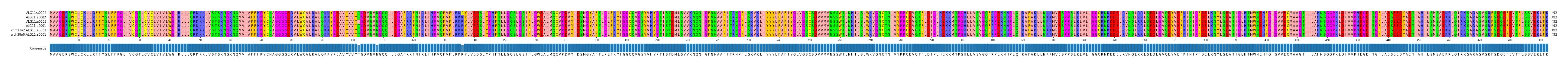 Multiple Alignments (by translate haplotype similarity)