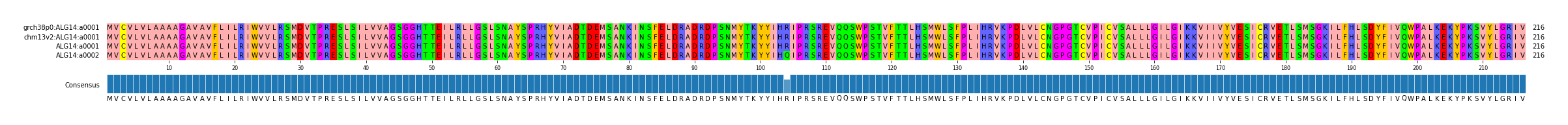Multiple Alignments (by translate haplotype similarity)