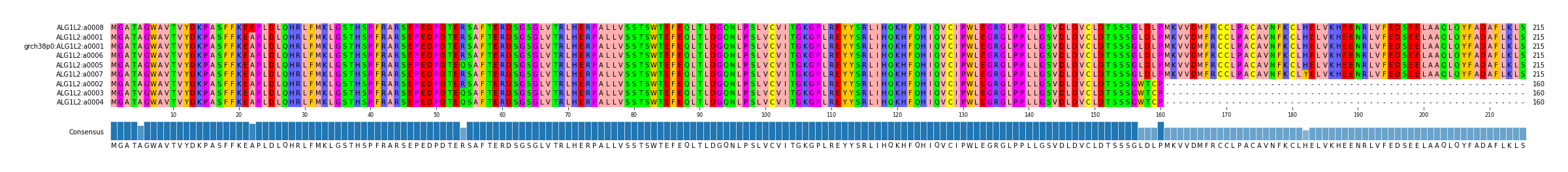 Multiple Alignments (by translate haplotype similarity)