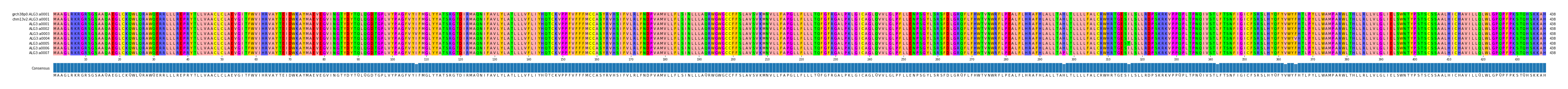 Multiple Alignments (by translate haplotype frequency)