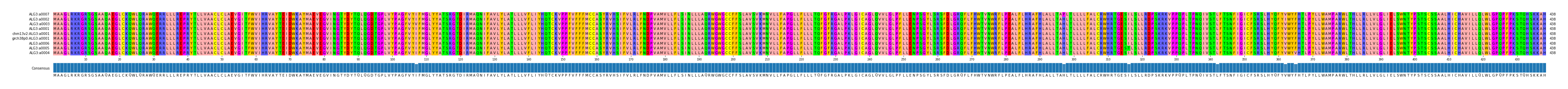 Multiple Alignments (by translate haplotype similarity)