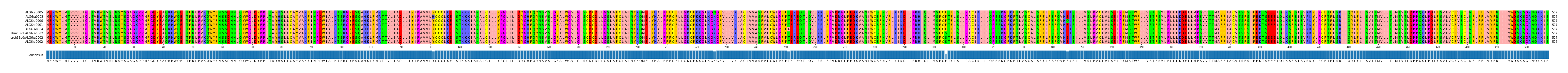 Multiple Alignments (by translate haplotype similarity)