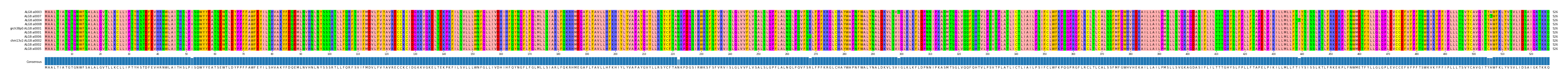 Multiple Alignments (by translate haplotype similarity)