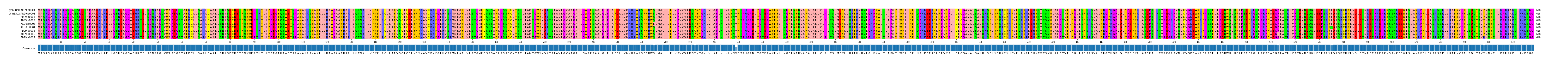 Multiple Alignments (by translate haplotype frequency)
