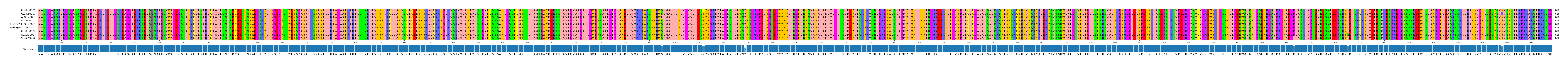 Multiple Alignments (by translate haplotype similarity)