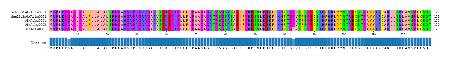Multiple Alignments (by translate haplotype frequency)