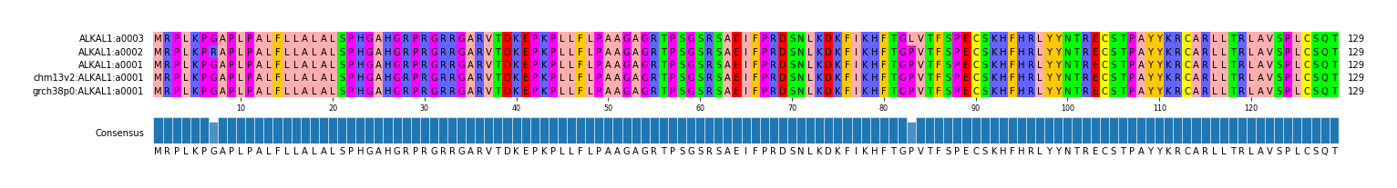 Multiple Alignments (by translate haplotype similarity)