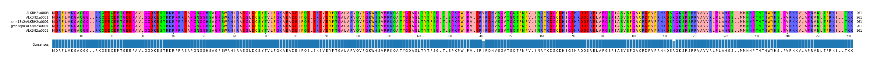 Multiple Alignments (by translate haplotype similarity)