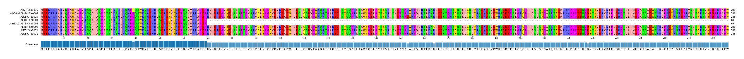 Multiple Alignments (by translate haplotype similarity)