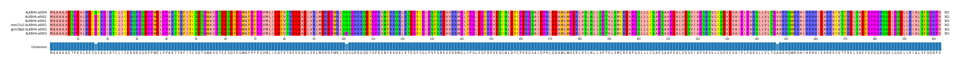 Multiple Alignments (by translate haplotype similarity)