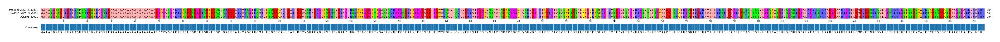 Multiple Alignments (by translate haplotype similarity)