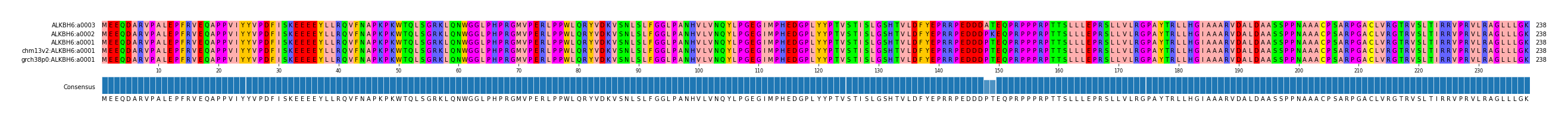 Multiple Alignments (by translate haplotype similarity)