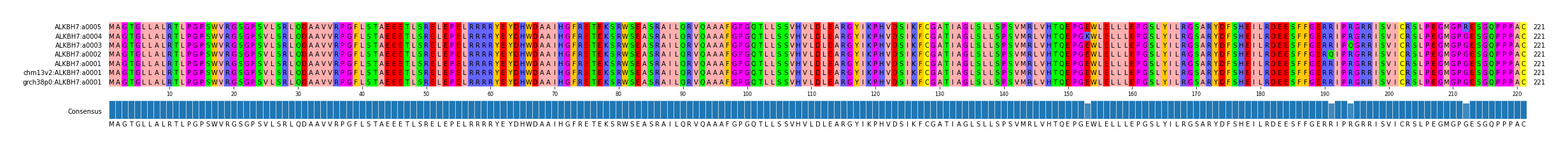 Multiple Alignments (by translate haplotype similarity)