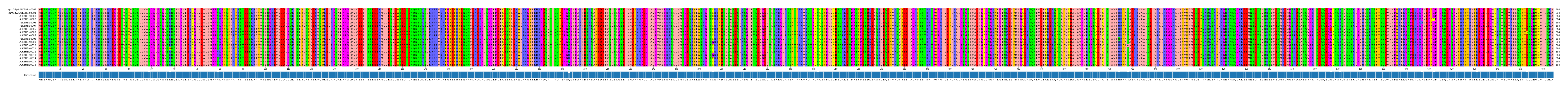 Multiple Alignments (by translate haplotype frequency)