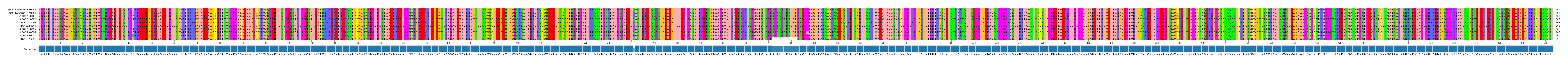 Multiple Alignments (by translate haplotype frequency)