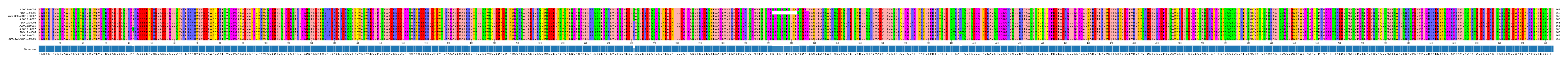 Multiple Alignments (by translate haplotype similarity)