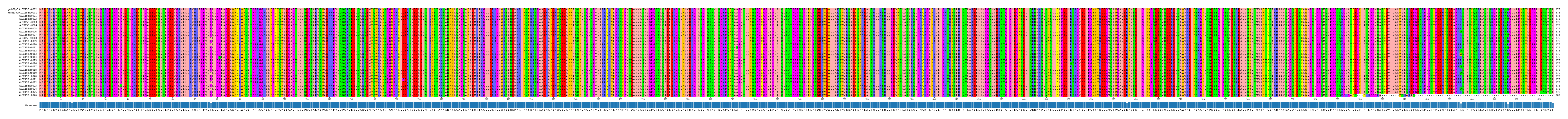 Multiple Alignments (by translate haplotype frequency)