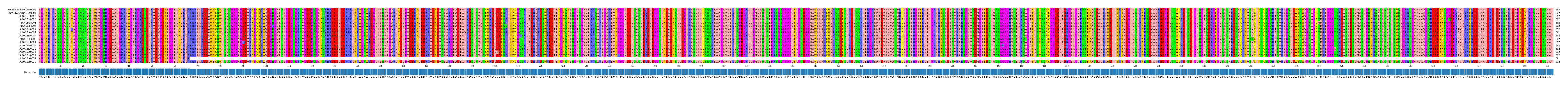 Multiple Alignments (by translate haplotype frequency)