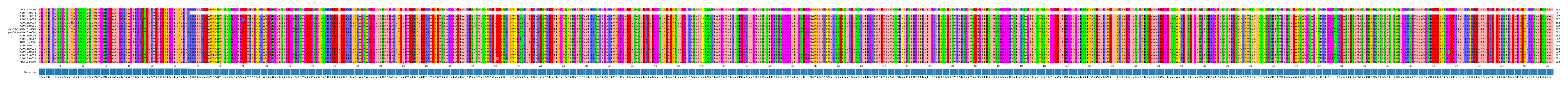 Multiple Alignments (by translate haplotype similarity)