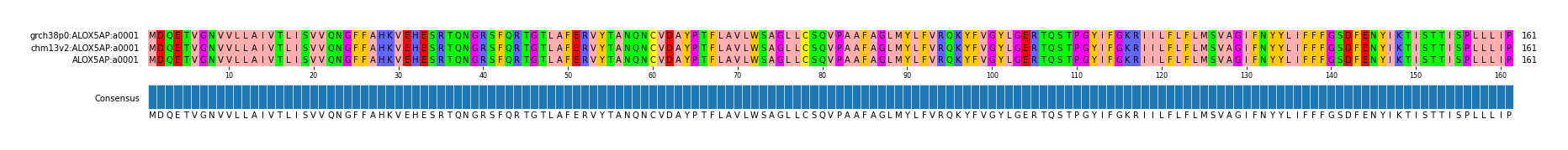 Multiple Alignments (by translate haplotype similarity)