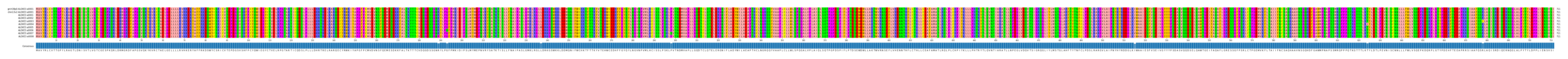 Multiple Alignments (by translate haplotype frequency)