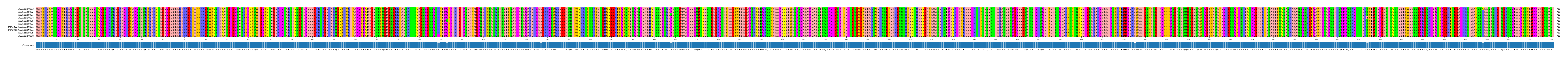 Multiple Alignments (by translate haplotype similarity)
