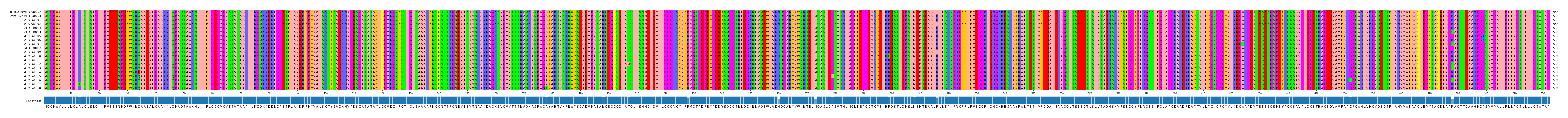 Multiple Alignments (by translate haplotype frequency)